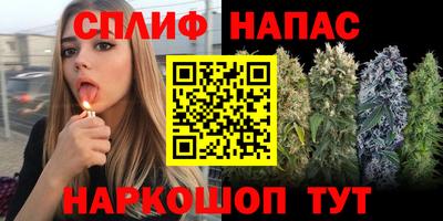 mdpv Белореченск