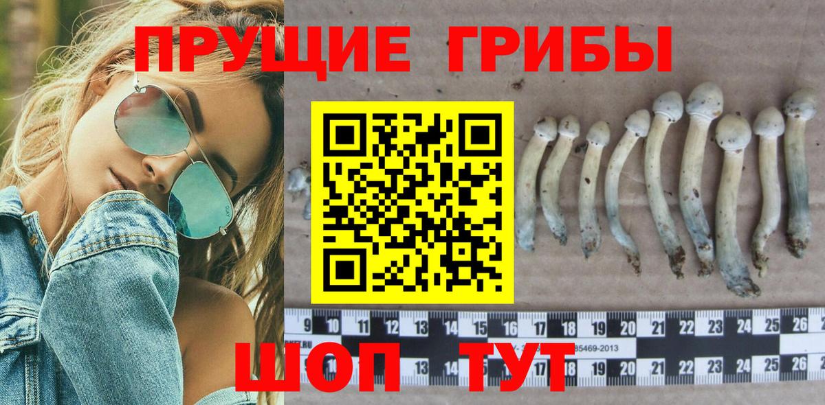 Галлюциногенные грибы мухоморы  Вход с VPN  наркотики  Всеволожск 